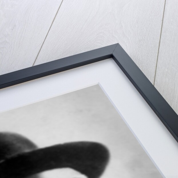 Juan Arnao, Cuban writer by Anonymous