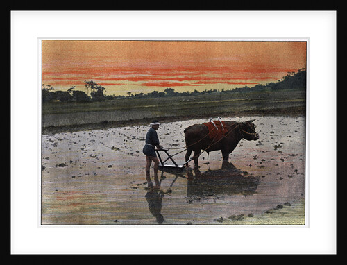 Preparation of a Rice Plantation in Japan by Charles Gillot