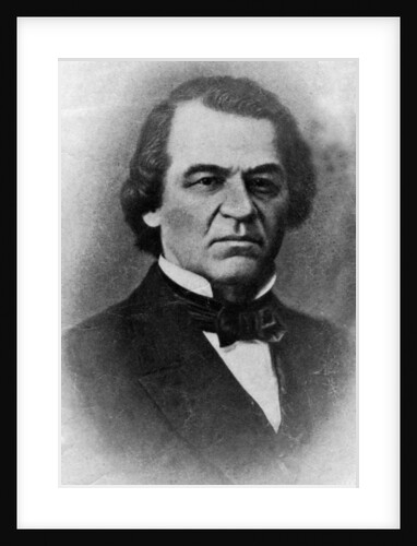 Andrew Johnson, President of the United States by Anonymous