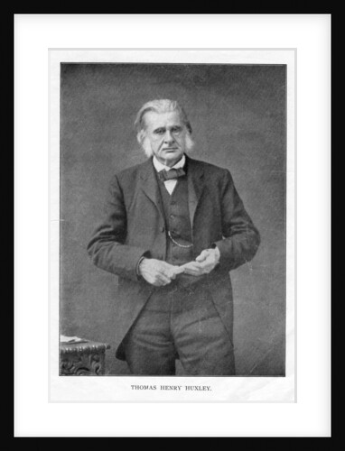 Thomas Henry Huxley, British biologist by Anonymous