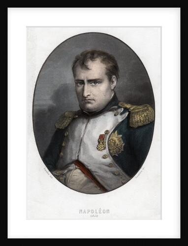 Napoleon Bonaparte by Goutiere