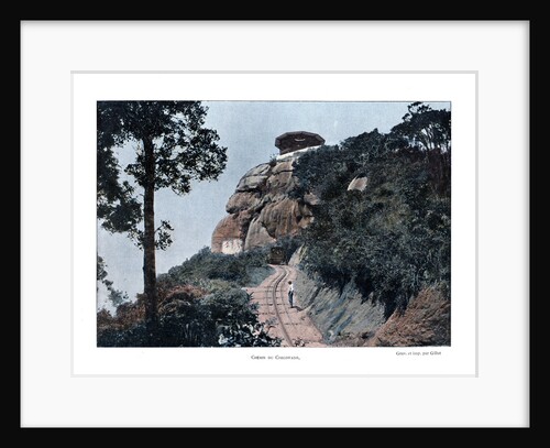 Corcovado Rack Railway, Rio de Janeiro, Brazil by Gillot