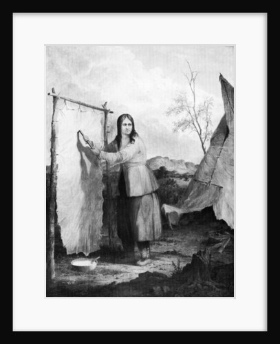 Indian Woman Dressing a Deer Skin by Seth Eastman