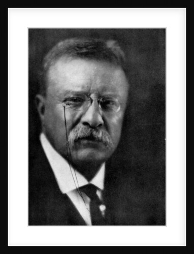Theodore Roosevelt, 26th President of the United States by Anonymous