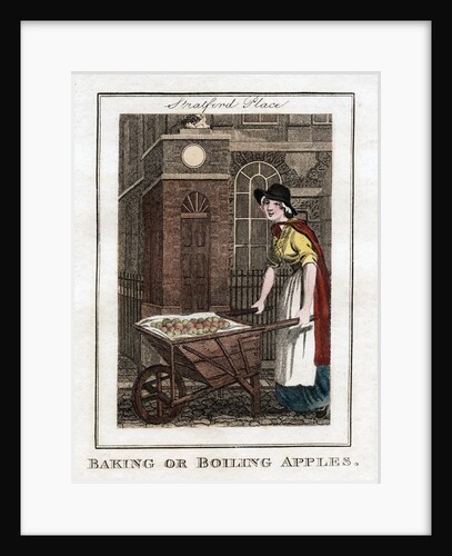 Baking or Boiling Apples by Anonymous