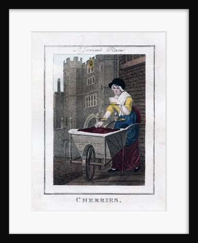 Cherries by Anonymous