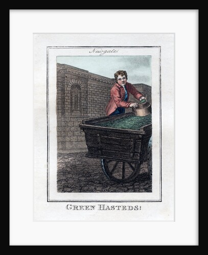 Green Hasteds by Anonymous