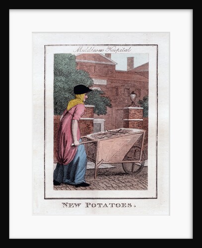 New Potatoes by Anonymous