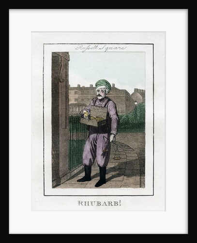 Rhubarb by Anonymous