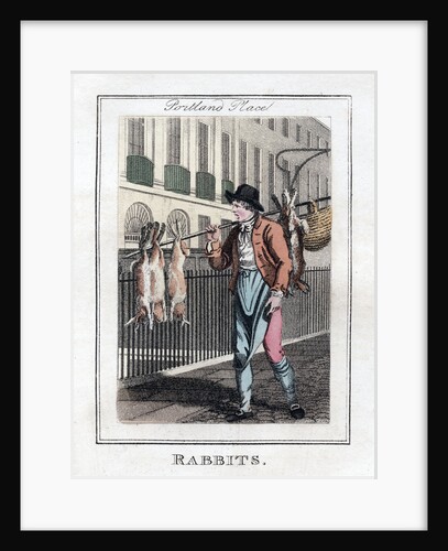 Rabbits by Anonymous