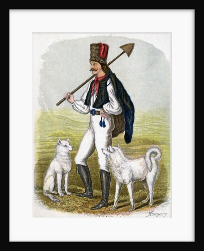 Hungarian Man with Dogs by W Dickes
