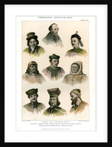 Ethnology, Races of Man by R Anderson