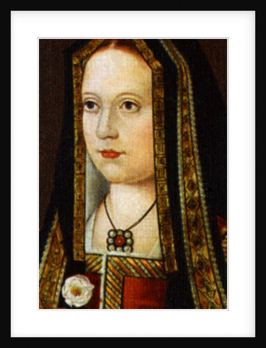 Elizabeth of York by Anonymous