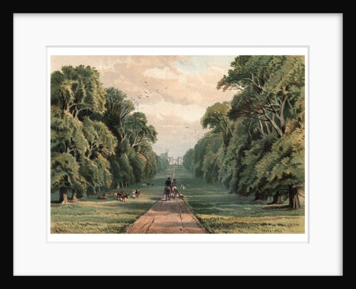 Long Walk, Windsor Park by Anonymous