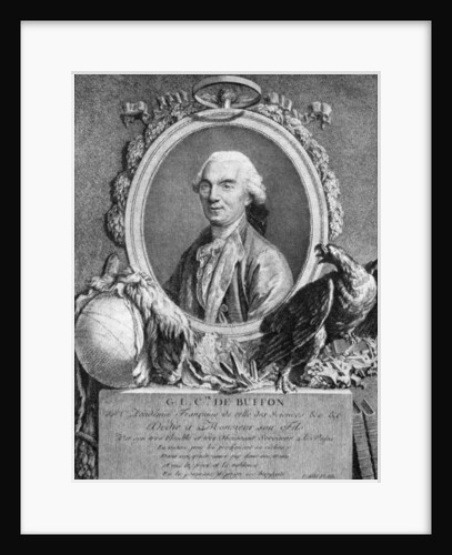 Georges-Louis Leclerc, Comte de Buffon, French naturalist by Anonymous