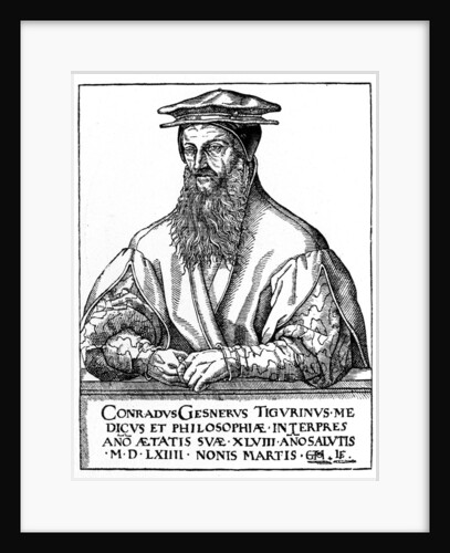 Conrad Gessner, Swiss naturalist by Anonymous
