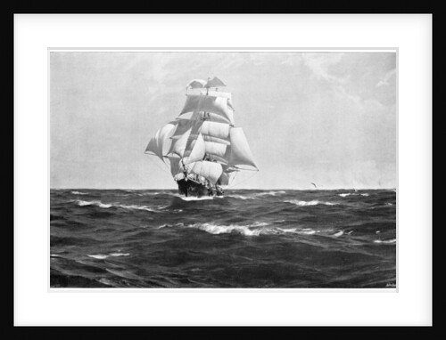 Homeward Bound by Thomas J Somerscales