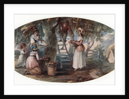 Gathering Fruit by William Hamilton