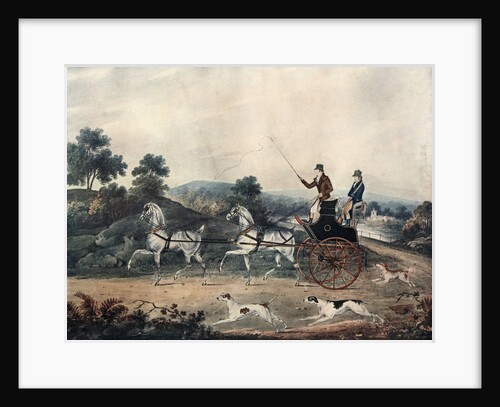 Driving Tandem by Anonymous