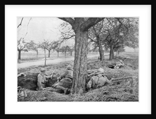 French machine gunners dug in at the edge of a road, under apple trees by Anonymous