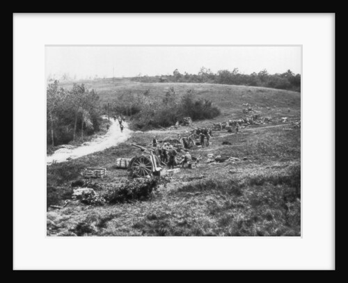French 75th artillery battery, Aisne, France by Anonymous