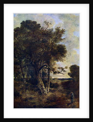 On the Skirts of the Forest by John Crome