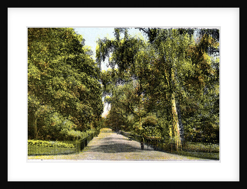 The Flower Walk, Kensington Gardens, London by Anonymous