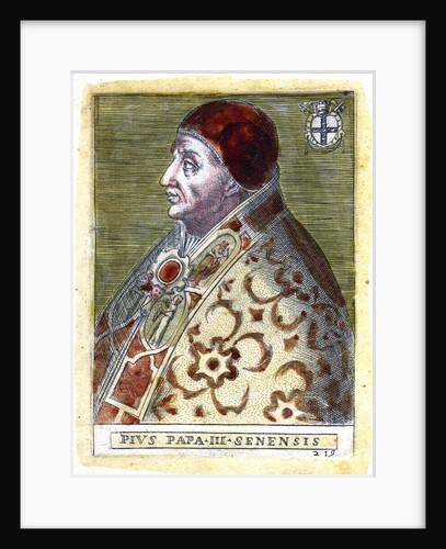 Pope Pius III by Anonymous