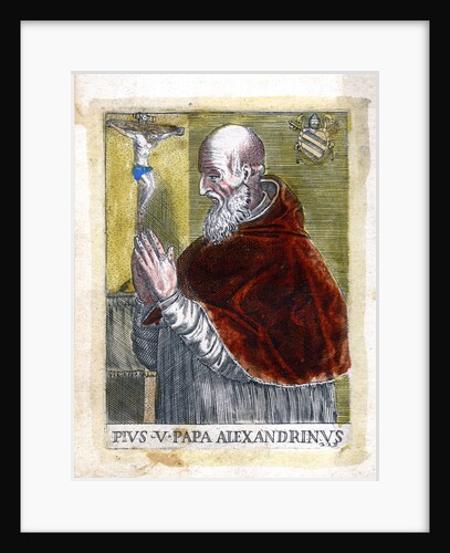 Pope St Pius V by Anonymous