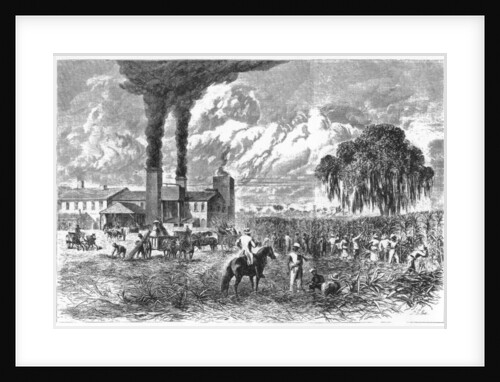 Sugar Plantation, New Orleans by A R Ward