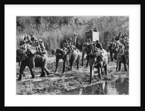 The Prince of Wales tiger shooting in India by Anonymous