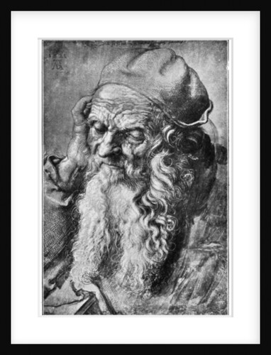 Head of Old Man by Albrecht Dürer