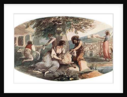Sheep Shearing by William Hamilton