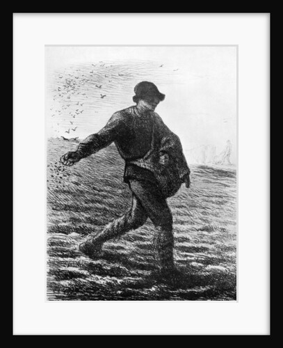 Le Semeur by Jean Francois Millet