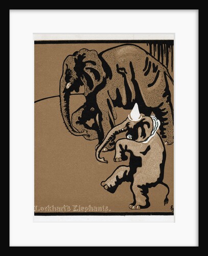 Lockhart's elephants by Anonymous