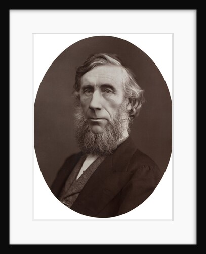 John Tyndall, DCL, LLD, FRS, Professor of Natural Philosophy at the Royal Institution by Lock & Whitfield