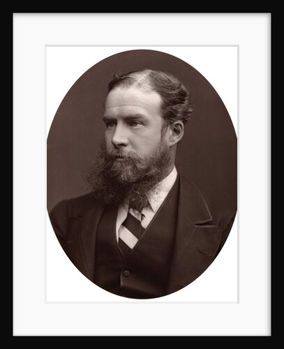 Sir John Lubbock, Bart, MP, FRS, Vice-Chancellor of the University of London by Lock & Whitfield