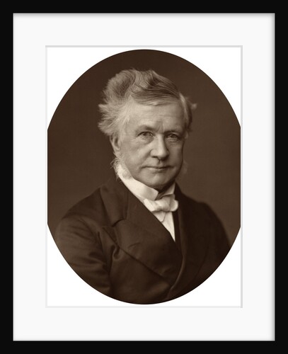 Sir Robert Lush, Judge of the High Court of Justice by Anonymous