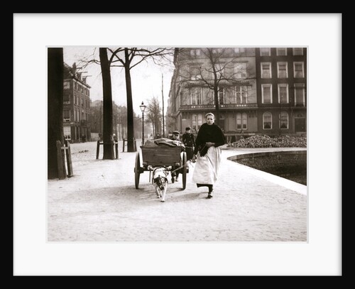Woman with dogcart, Rotterdam by James Batkin
