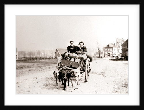 Dogs pulling women on a cart, Antwerp by James Batkin
