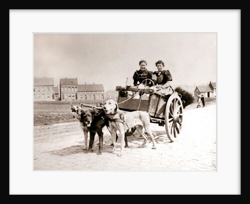Dogs pulling women on a cart, Antwerp by James Batkin