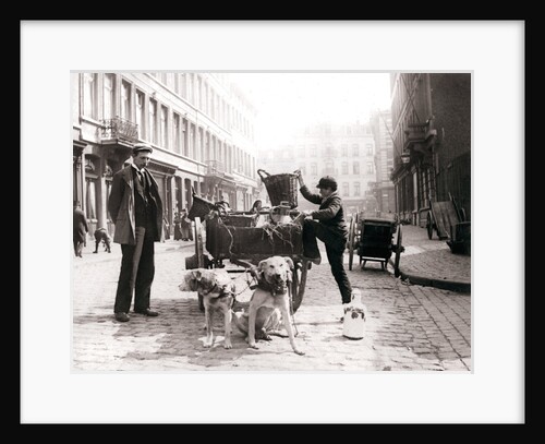Boy with dogcart, Antwerp by James Batkin