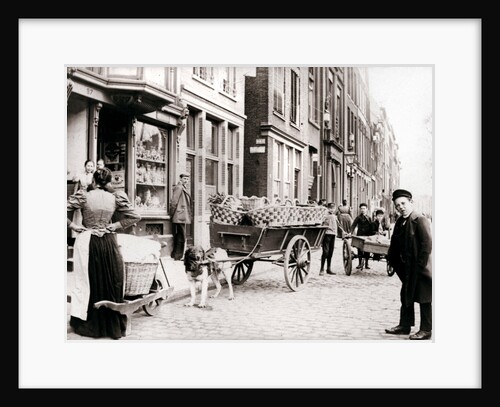 Dogcart, Antwerp by James Batkin