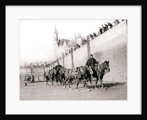 Horseriders, Antwerp by James Batkin