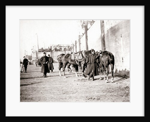Horseriders, Antwerp by James Batkin
