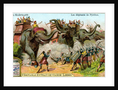 The Elephants of Pyrrhus by Anonymous