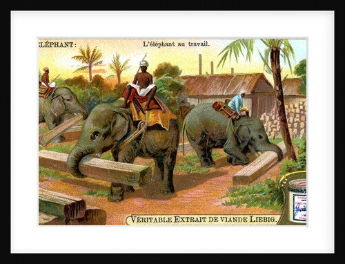 The Elephant at Work by Anonymous