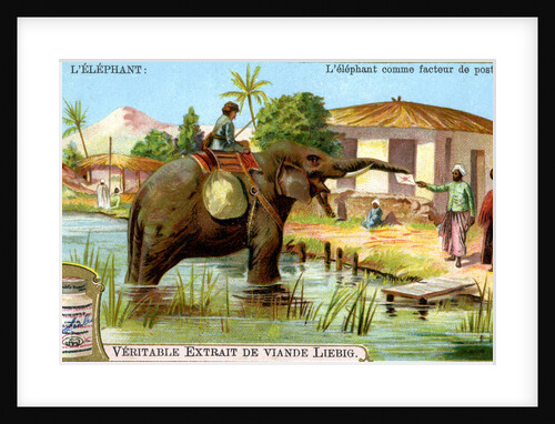 The Elephant as postman by Anonymous