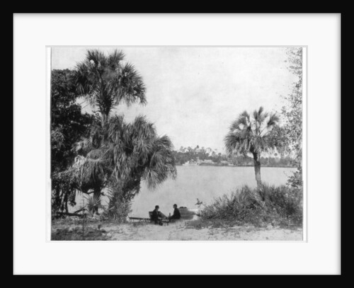 Indian River, Florida by John L Stoddard