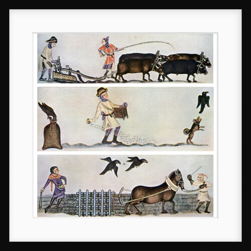 Ploughing, sowing, and harrowing, c1300-1340, (c1900-1920) by Anonymous